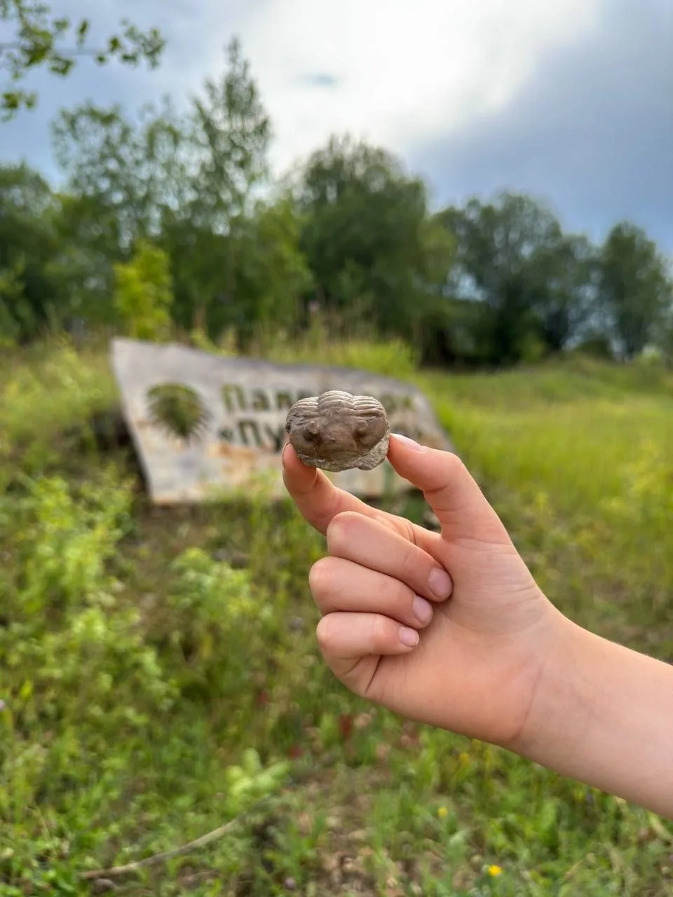 Больше, чем зоопарк💚  🌏Фестиваль «Пробуждение жизни» был бы невозможен без наших друзей. Именно благ