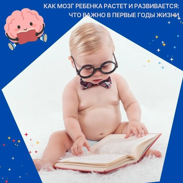 Первые годы жизни - это время, когда мозг ребёнка развивается особенно быстро. Именно в...