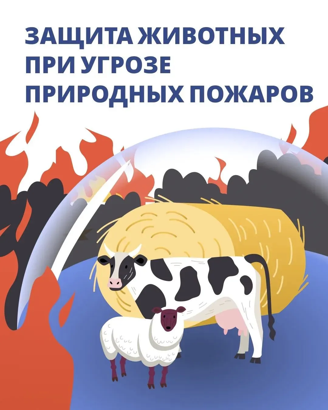 ❗Время обезопасить животных от пожаров!