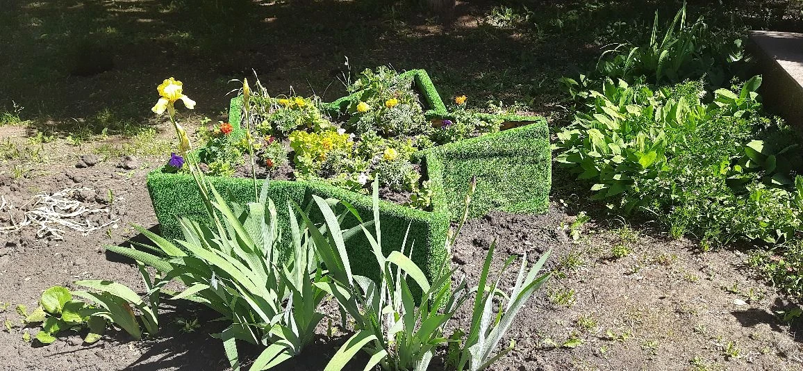 🌿 Школьный конкурс «Нам здесь жить»: итоги благоустройства и озеленения! 🌿
Дорогие друзья, с радос