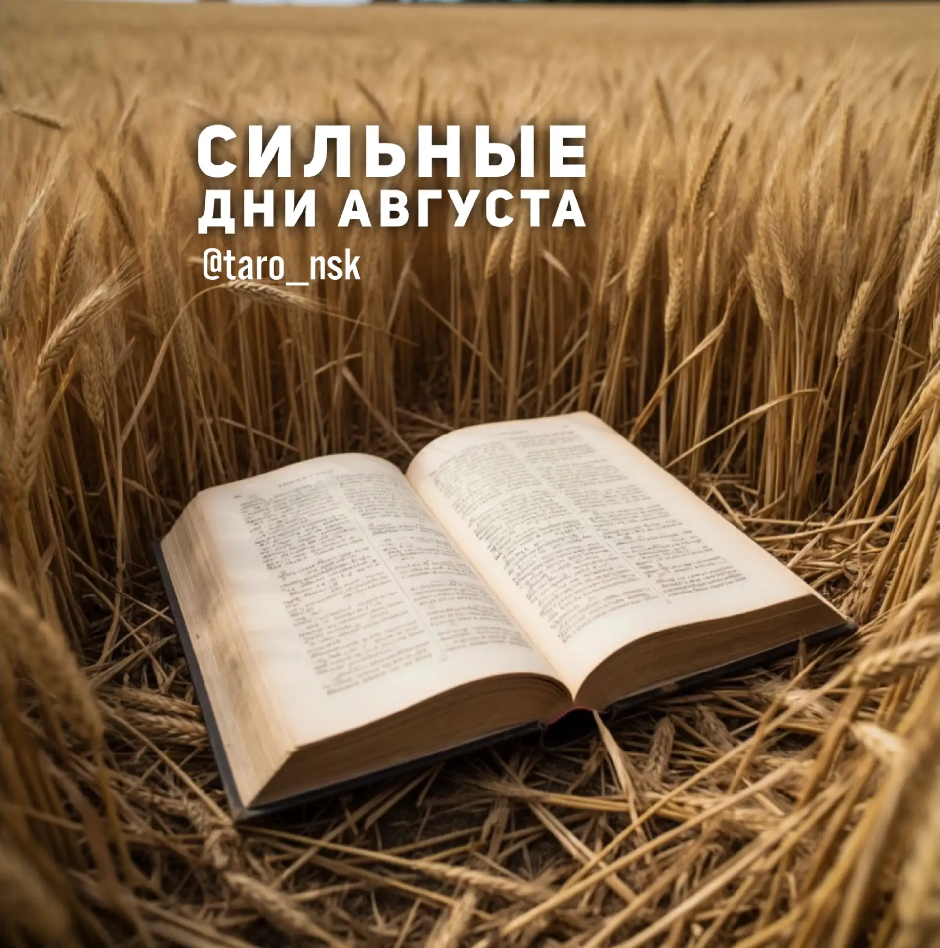 Сильные и значимые дни августа🌾🍇💛
⠀⠀⠀
6️⃣августа - Борис и Глеб. Празднуют урожай хлеба.

9️⃣авгу