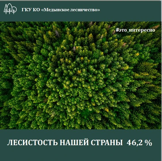 Лесистость нашей страны составляет 46,2%.  Это актуализированные данные  государственного лесного ре