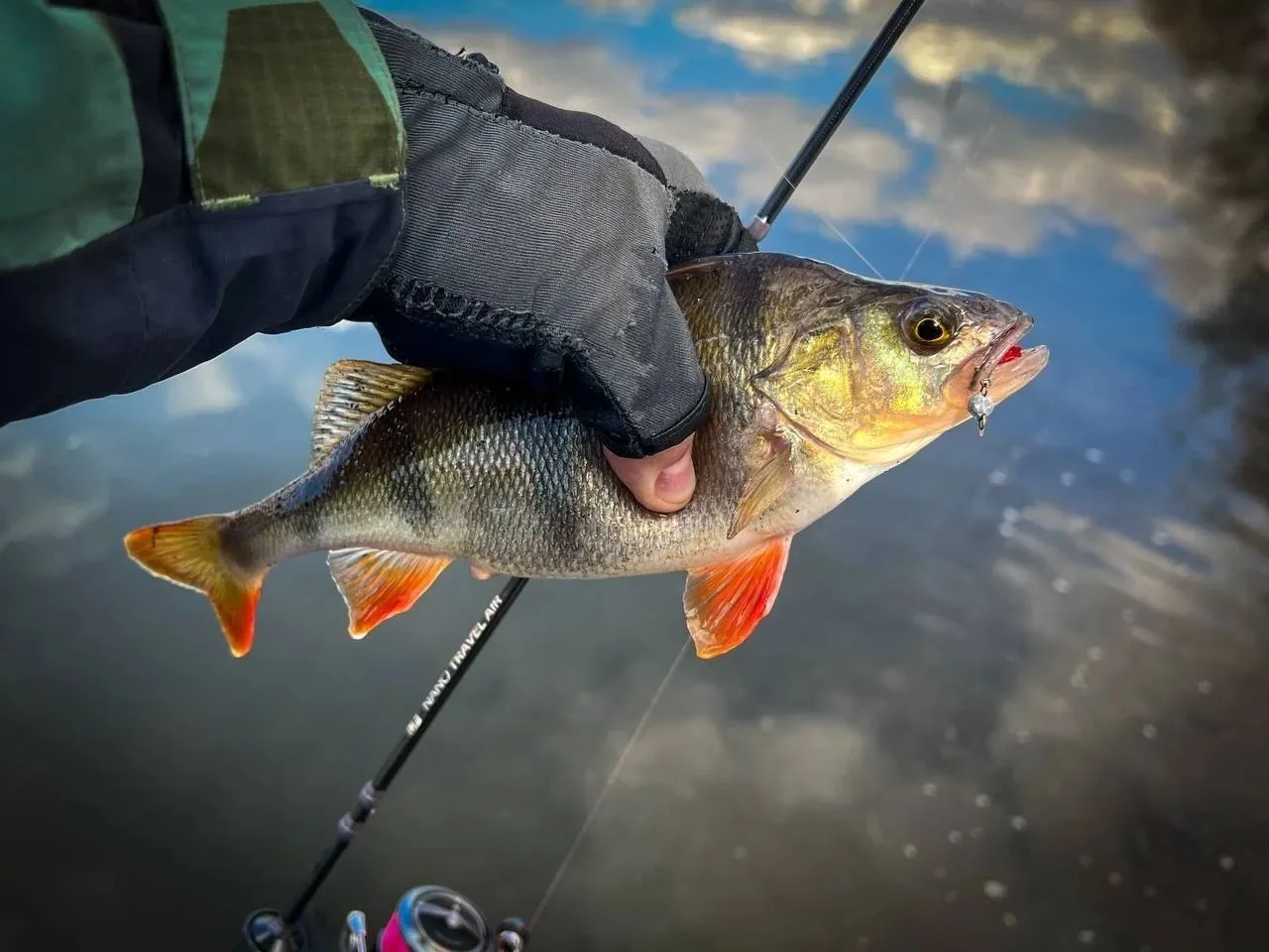 🐟 Лoвля oкуня вo втoрoй пoлoвинe