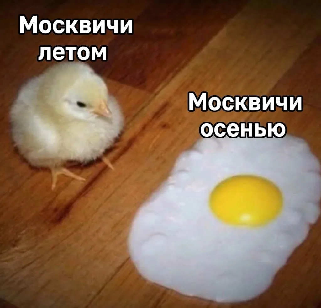 В Москве готовятся ко включению отопления. Произойдет это, когда среднесуточная темпера...