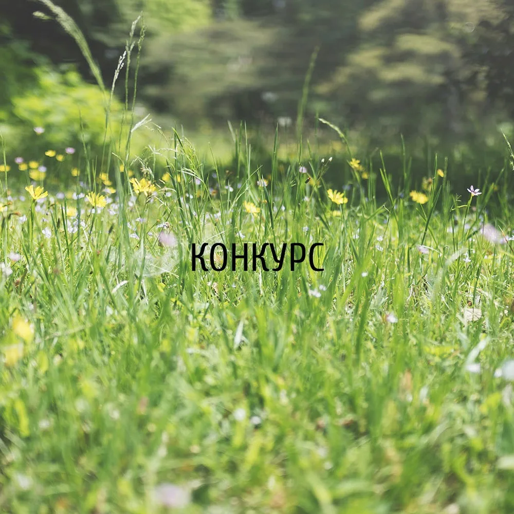 ⚡️Конкурс эскизных проектов выставочных садов