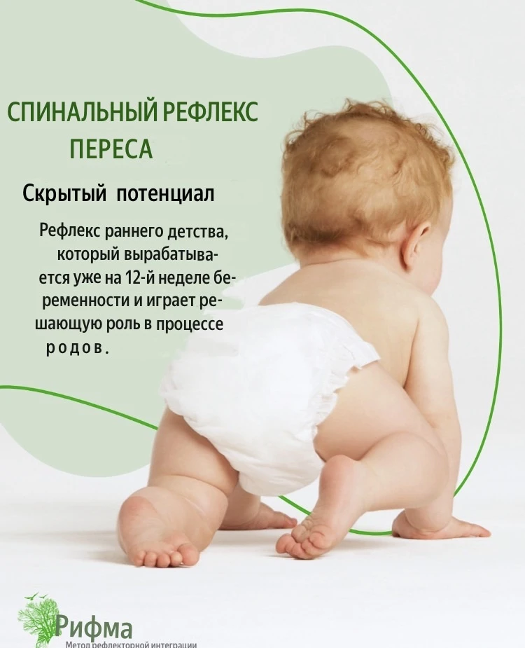 Скрытый потенциал: Спинальный рефлекс #Переса  Спинальный рефлекс Переса — это рефлекс раннего детск