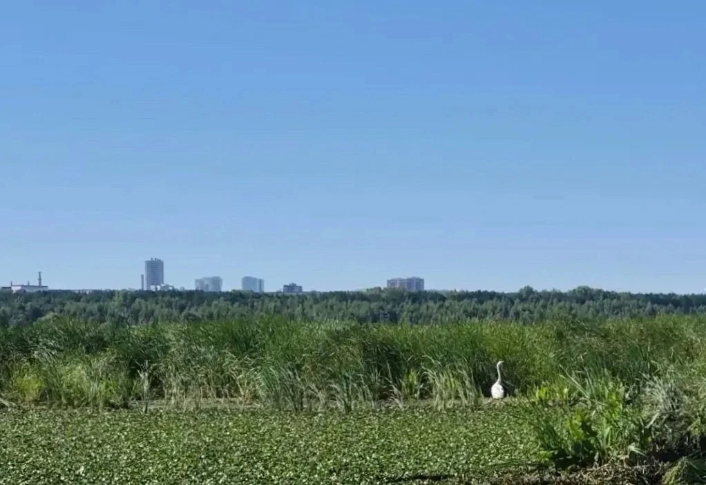 Доброе утро, друзья!
