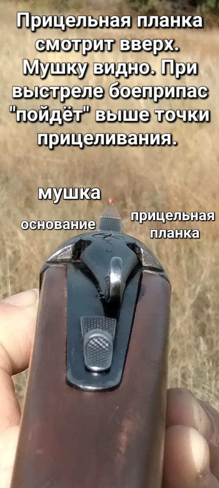 Прицельные приспособления классического ружья глазами стреляющего