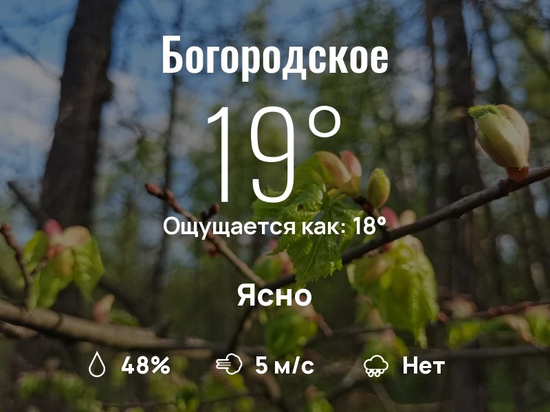 Что с погодой в Богородском?

Одевайтесь по погоде, берегите себя!
Фантастического дня, соседи!

#по