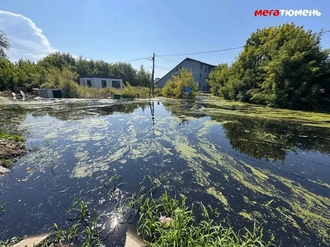 Черная вода, дохлая рыба, запах гнили и пустые дома: репортаж из самых затопленных районов Тюмени: h