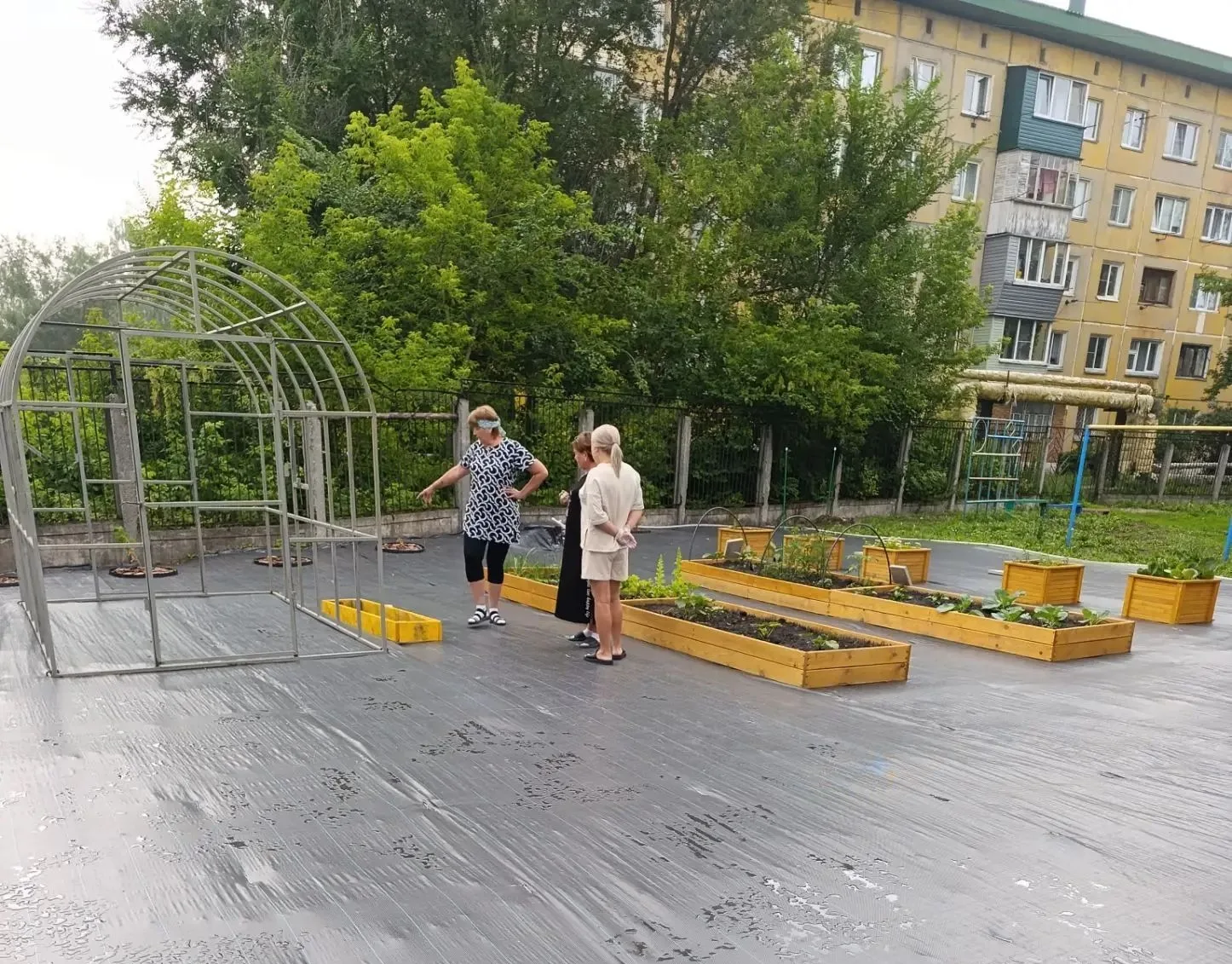 Зеленый ковер под ногами: как мы создаем наш "Сказочный огород"

Мы в огороде постелили искусственны