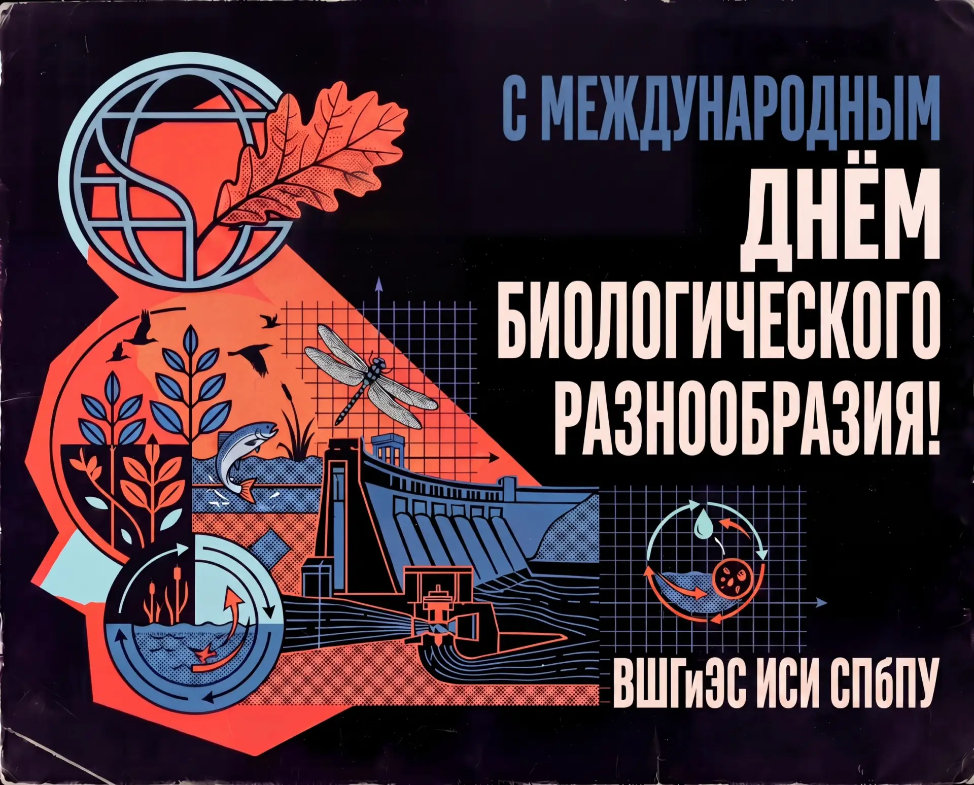 🌿 С Международным днём биологического разнообразия!