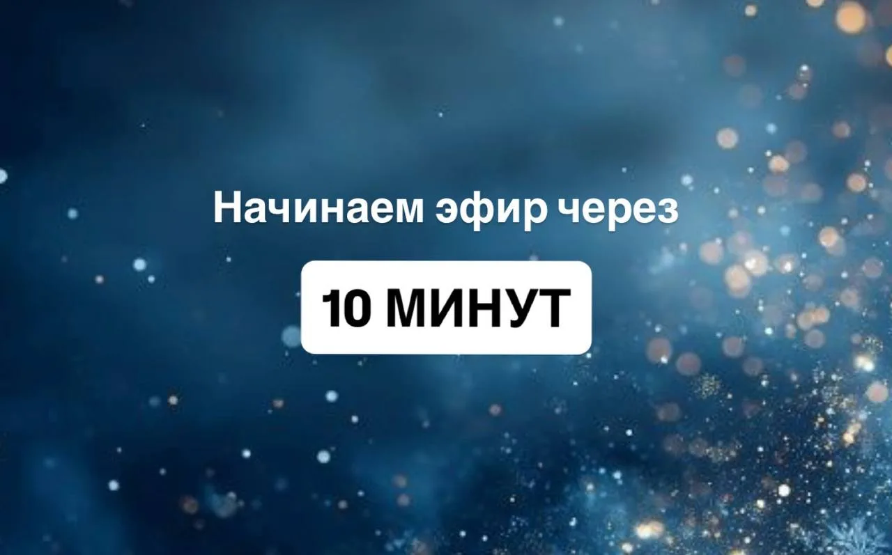 Приветствую Вас, дорогие🤍
