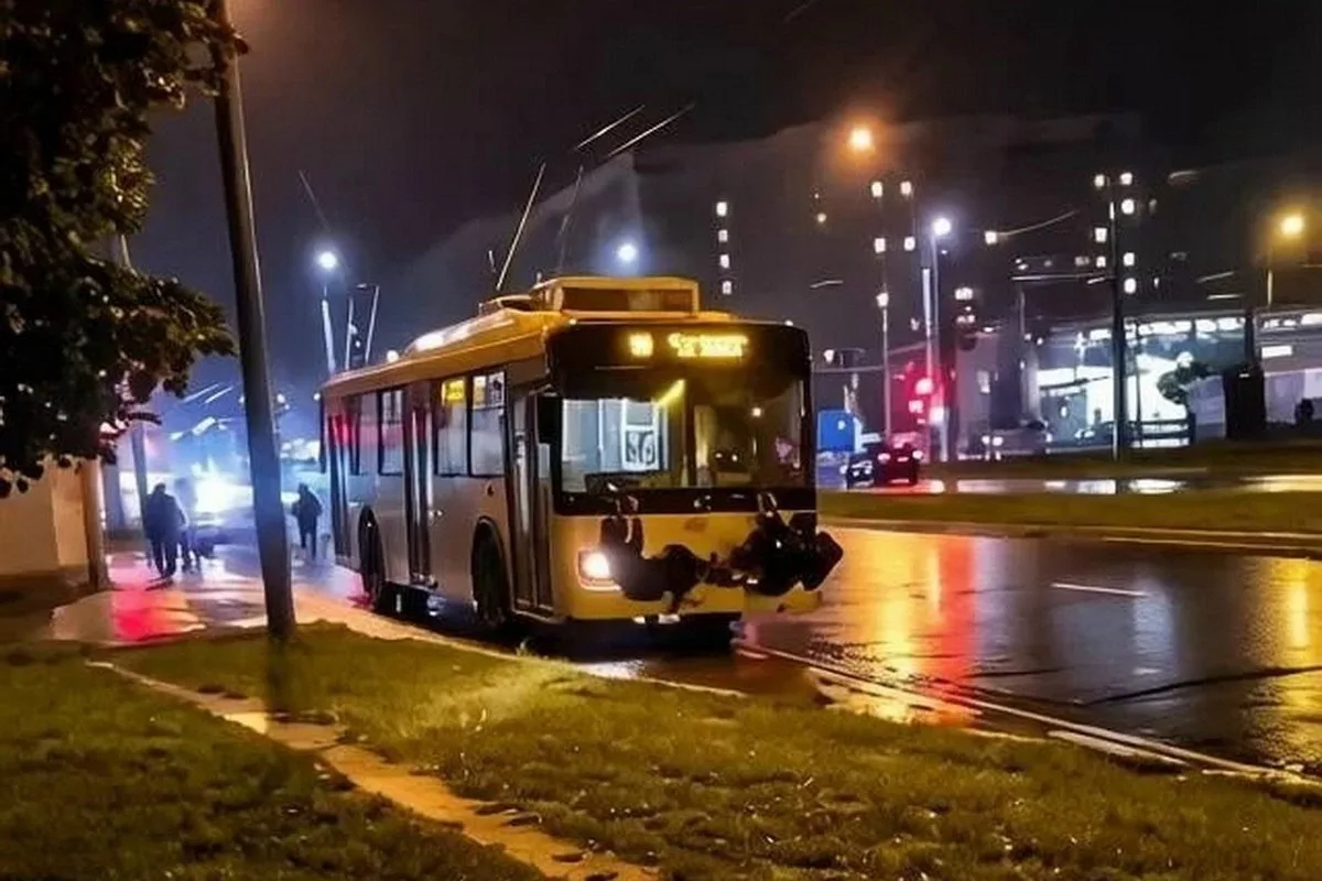 🚍 В Йошкар-Оле оштрафовали родителей зацеперов
