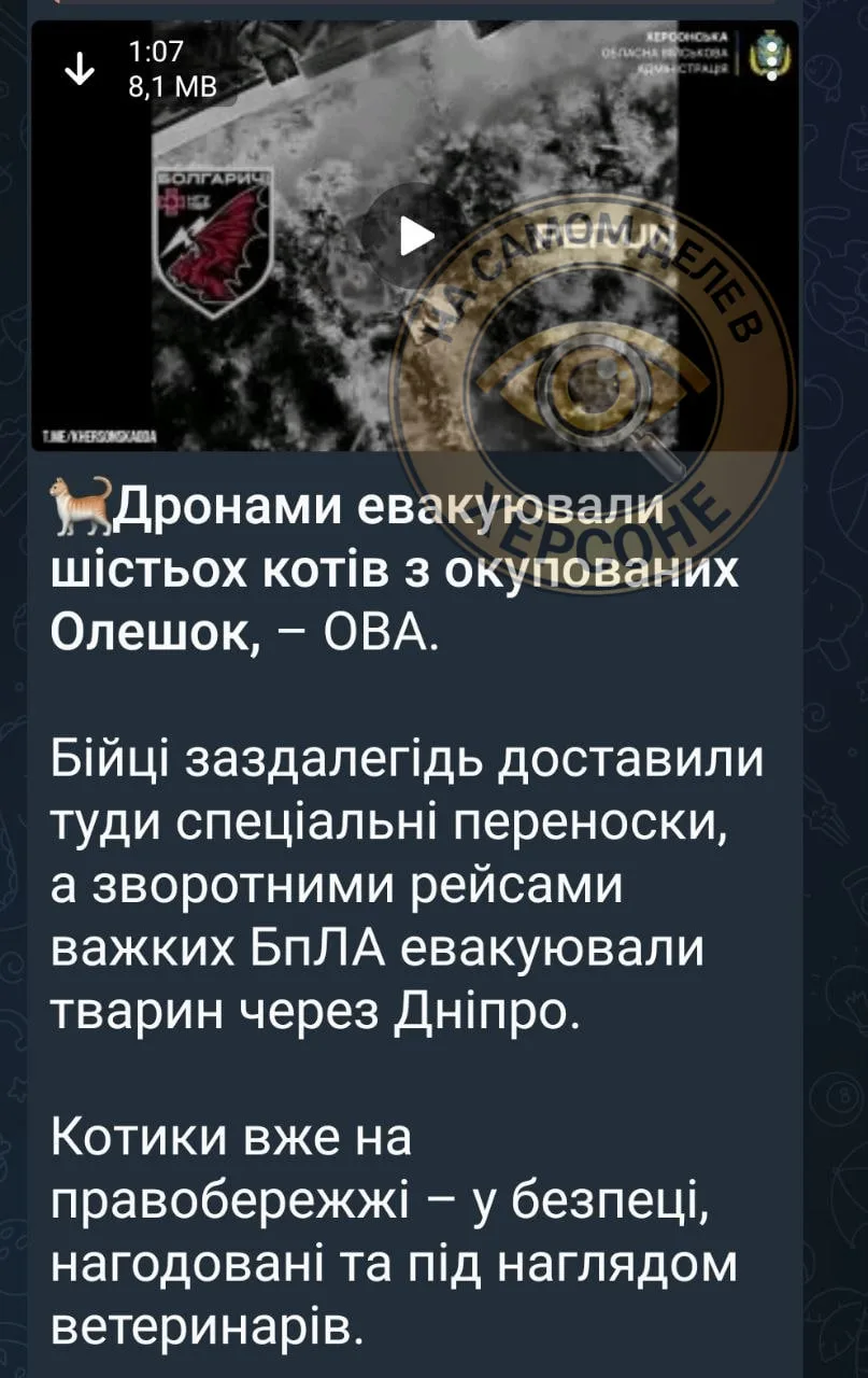 🇺🇦🤡🤪 А вы думали, чем незалежные в Алёшках занимаются?
