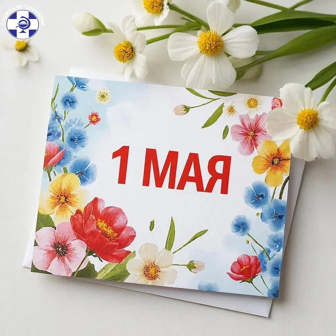 ✨✨Коллектив Службы ветеринарии Астраханской области сердечно поздравляет вас с Праздник...