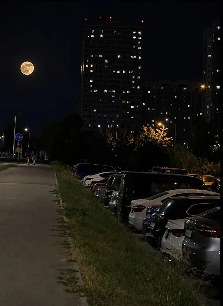 Добрый ночи❤️