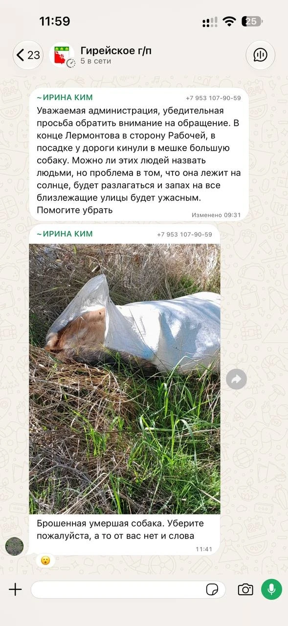 Поселок Гирей,такой случай уже не первый,здесь живут самые настоящие живодеры,пусть пус...