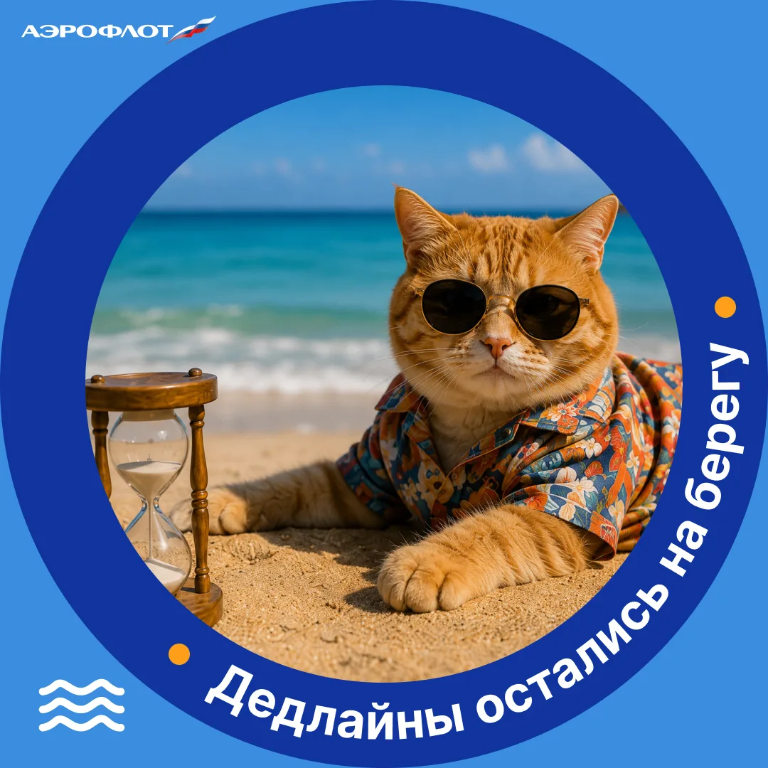 Изображение 6 к публикации «АЭРОФЛОТ»