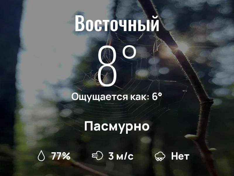 Что с погодой в Восточном?