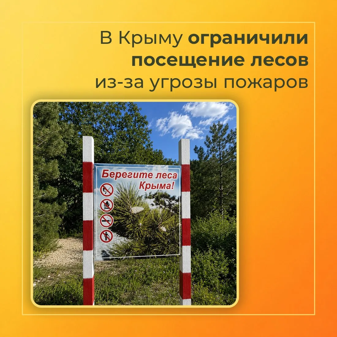 🔥 В Крыму введено ограничение пребывания граждан в лесах и въезда в них транспортных с...