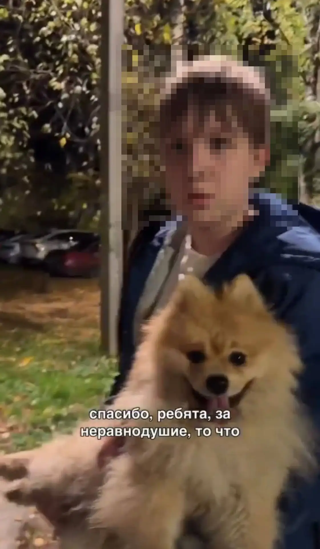 🐶 Двое мальчиков в Подмосковье помогли потерявшемуся шпицу.