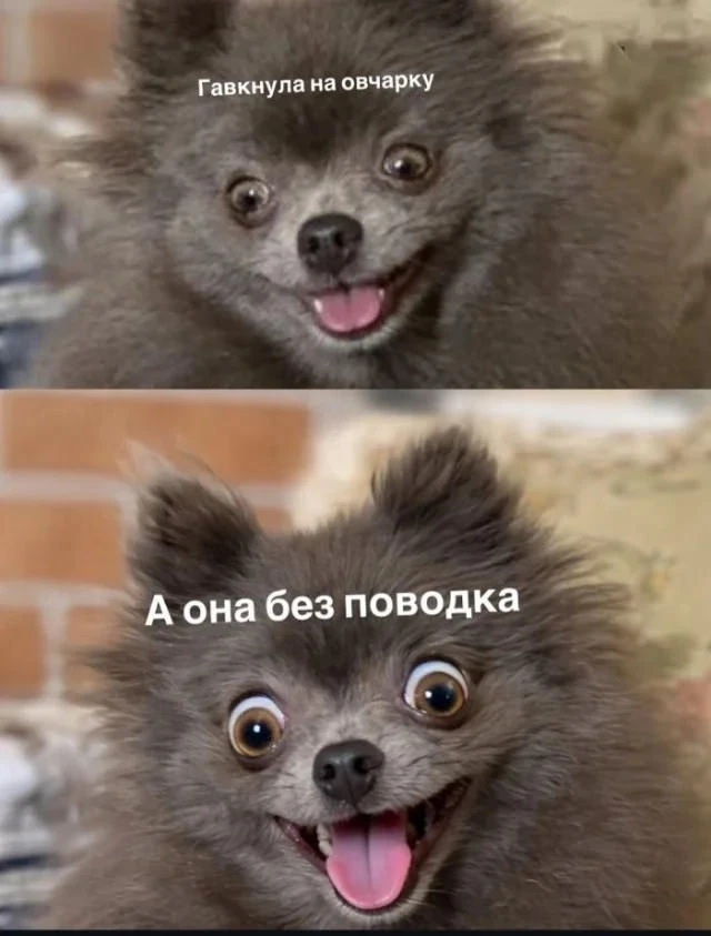 Изображение 1 к публикации «Смехалка»
