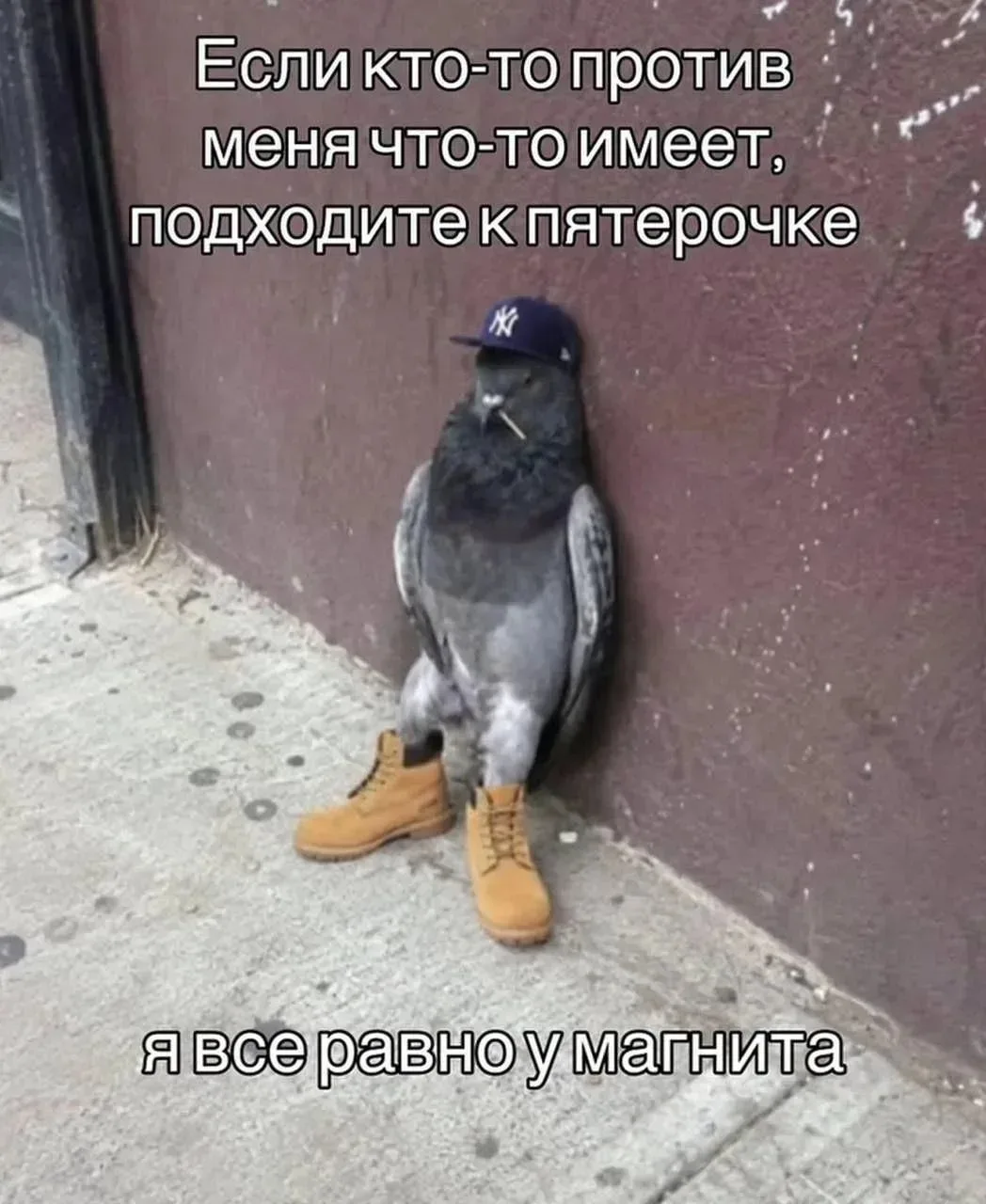 Милота/юмор/мем на ночь 🌙