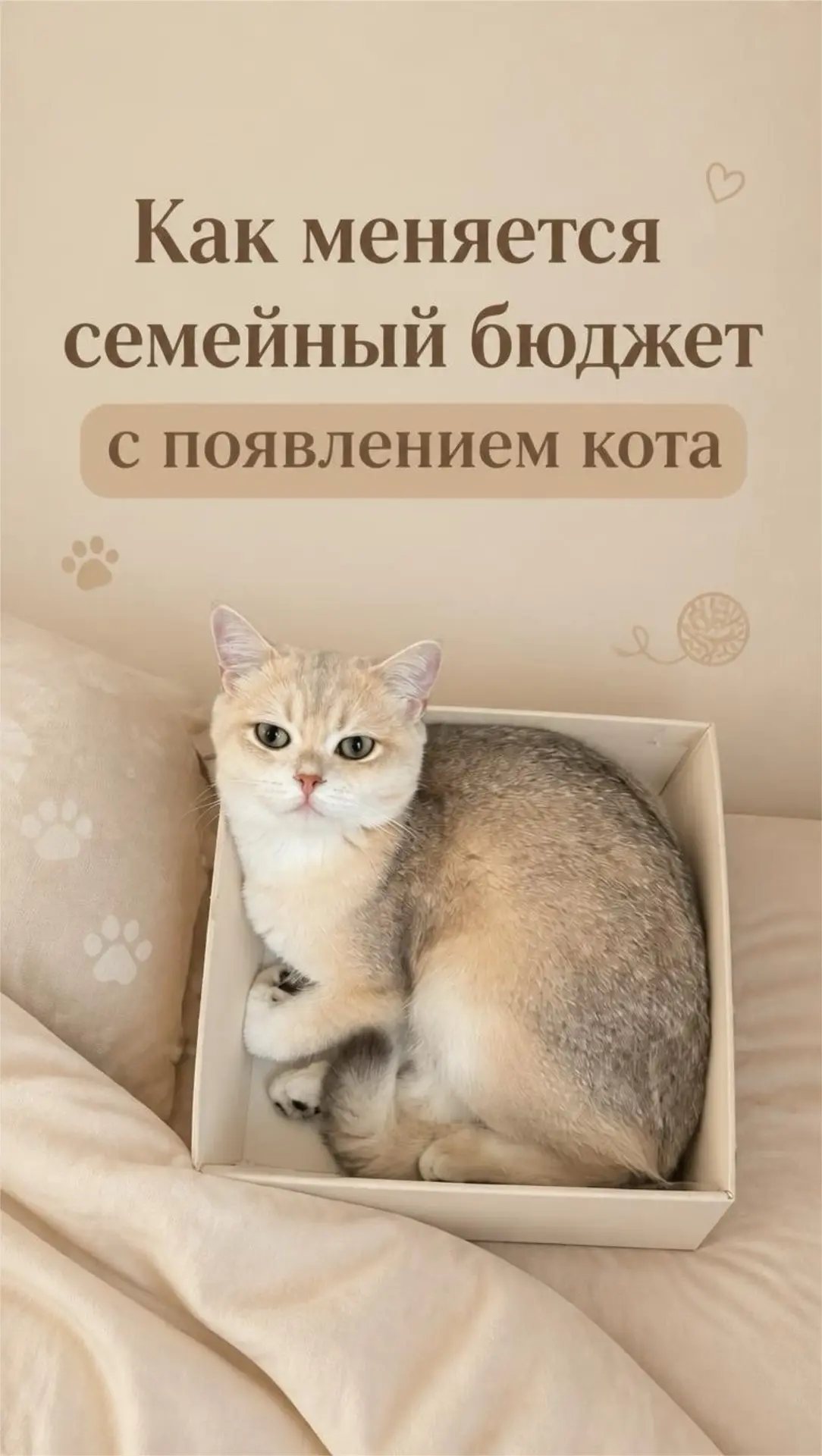 Коротко о том, как после появления кота в наш семейный бюджет добавилась новая статья р...