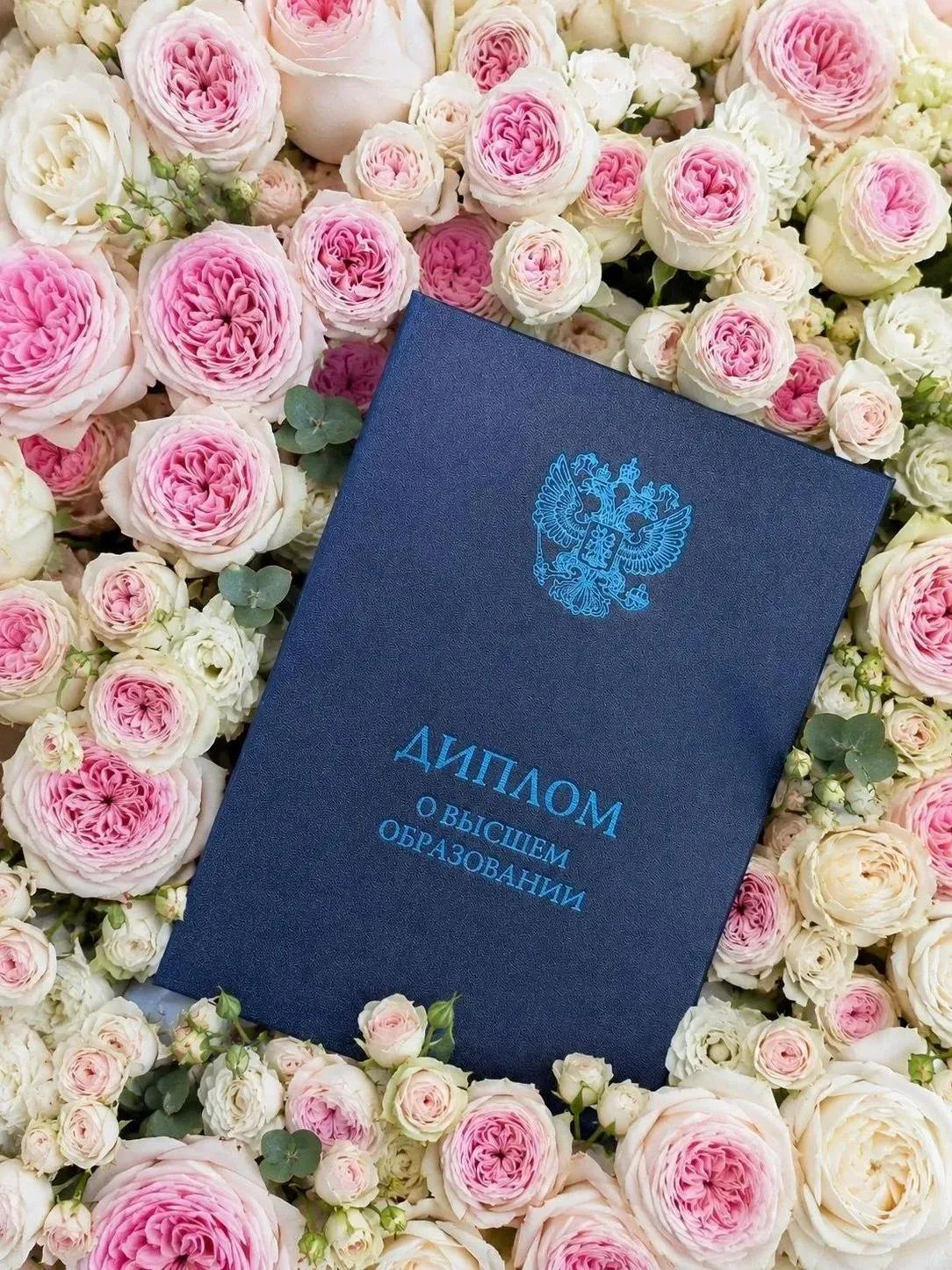 Дорогие преподаватели и сотрудники ЛПИ – филиала СФУ!

Приглашаем вас на главное событие этого лета 