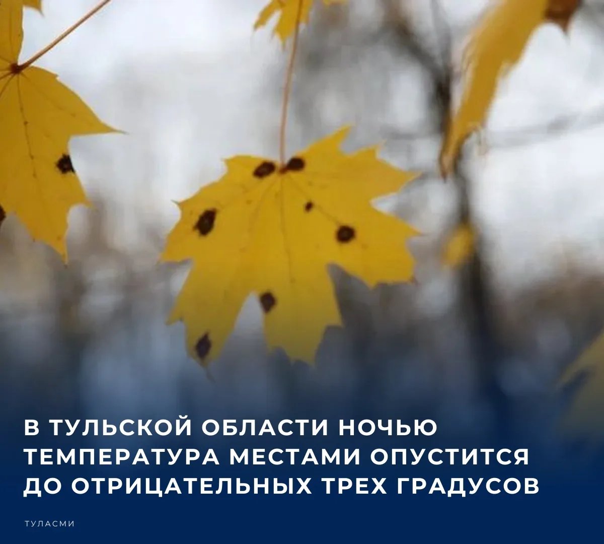 ☁️ По прогнозу синоптиков, 4 октября в тульском регионе будет переменная облачность. В ...