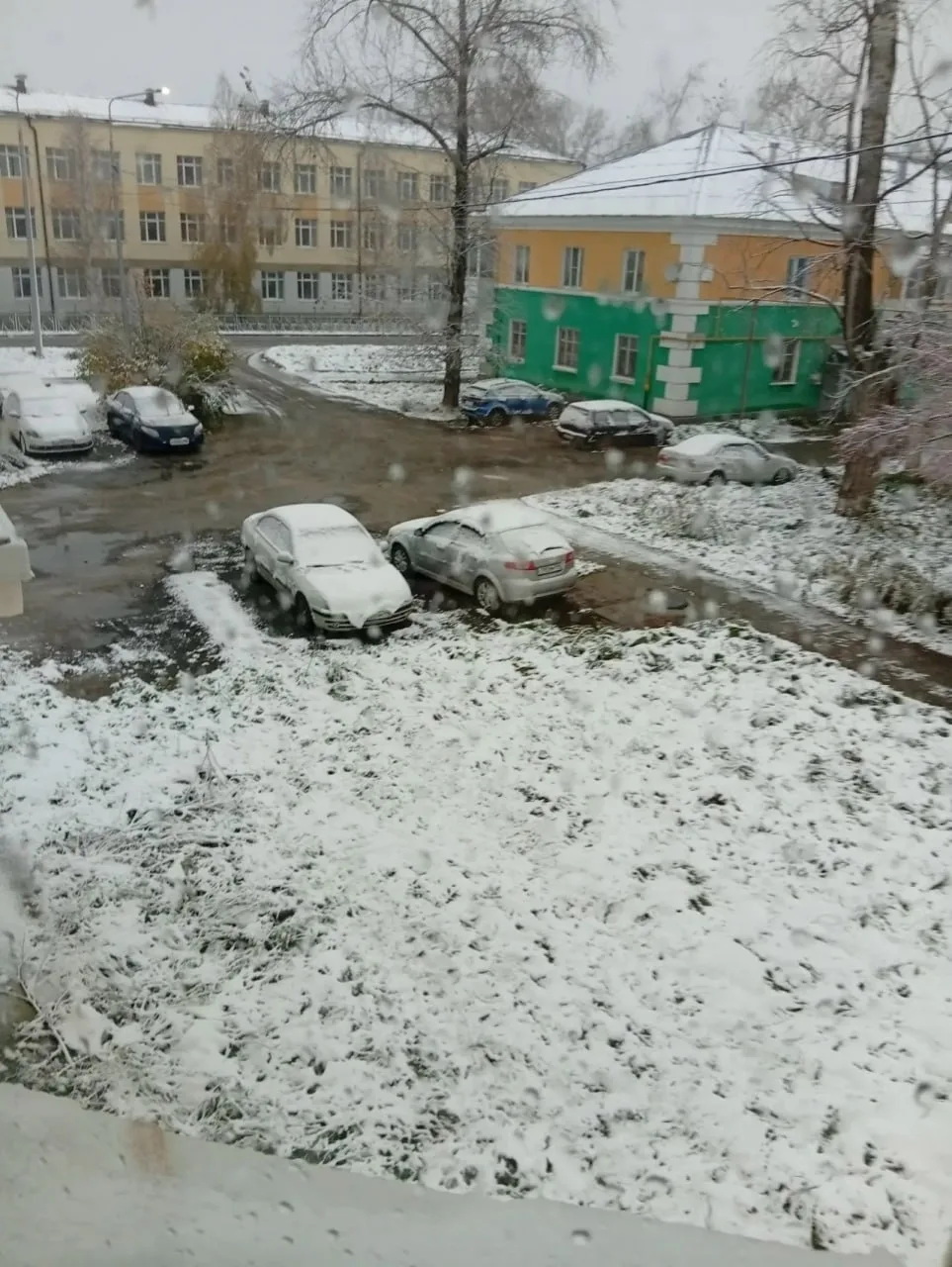 В ночь на субботу, 3 октября, на севере Свердловской области выпал первый снег. Североу...