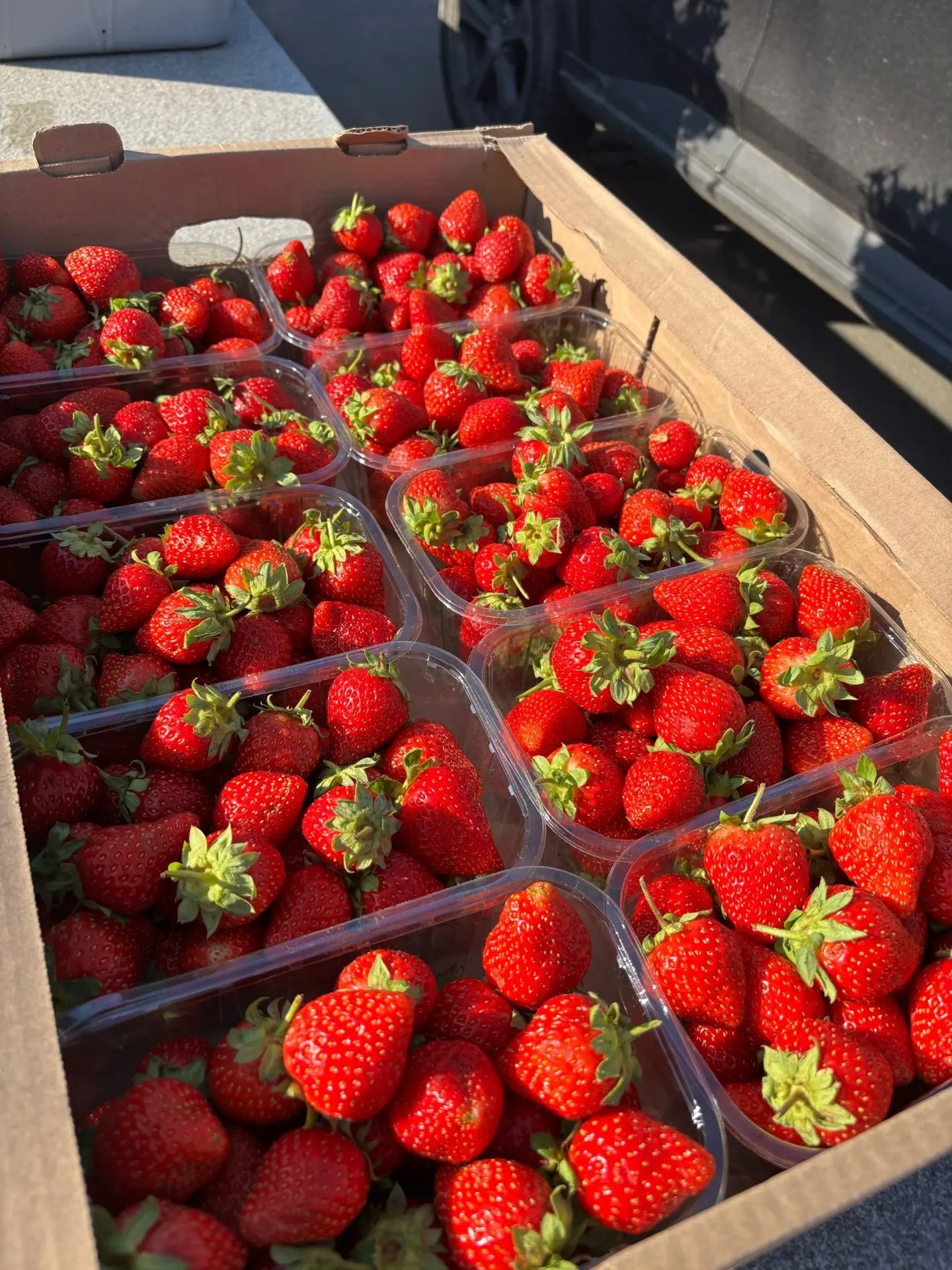 Сезон 🍓 клубники из Удмуртии и Татарстана приближается к своему сезонному завершению в...