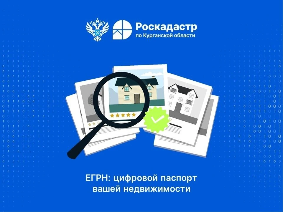 ЕГРН – цифровой паспорт недвижимости

Многие сталкиваются с аббревиатурой Единого государственного р