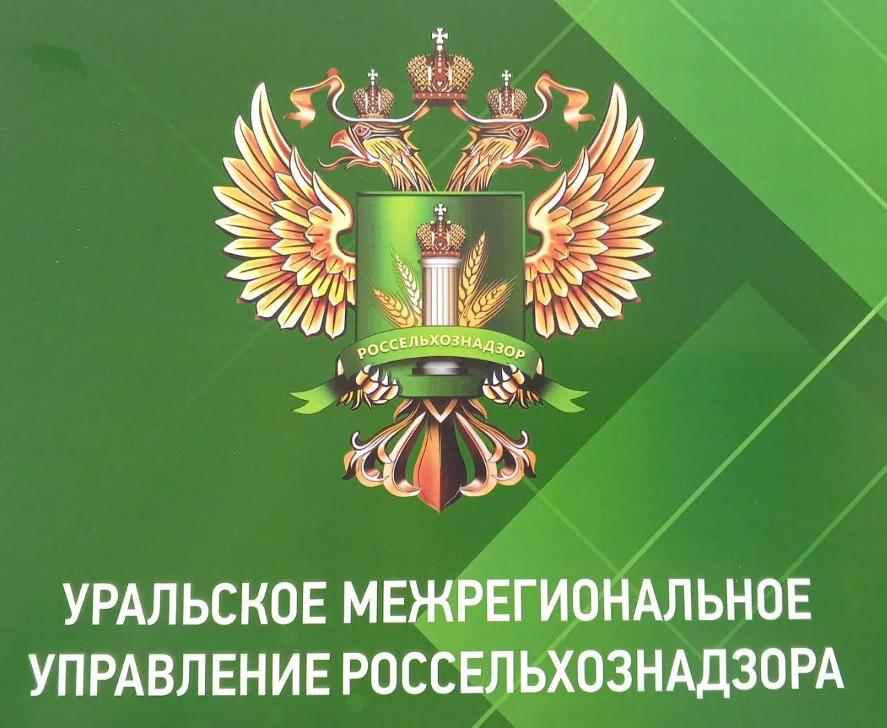 ВЕДОМСТВО РАЗЪЯСНЯЕТ: КАК СОДЕРЖАТЬ СЕЛЬХОЗПТИЦУ В ЛПХ
Уральское межрегиональное управление Россельх