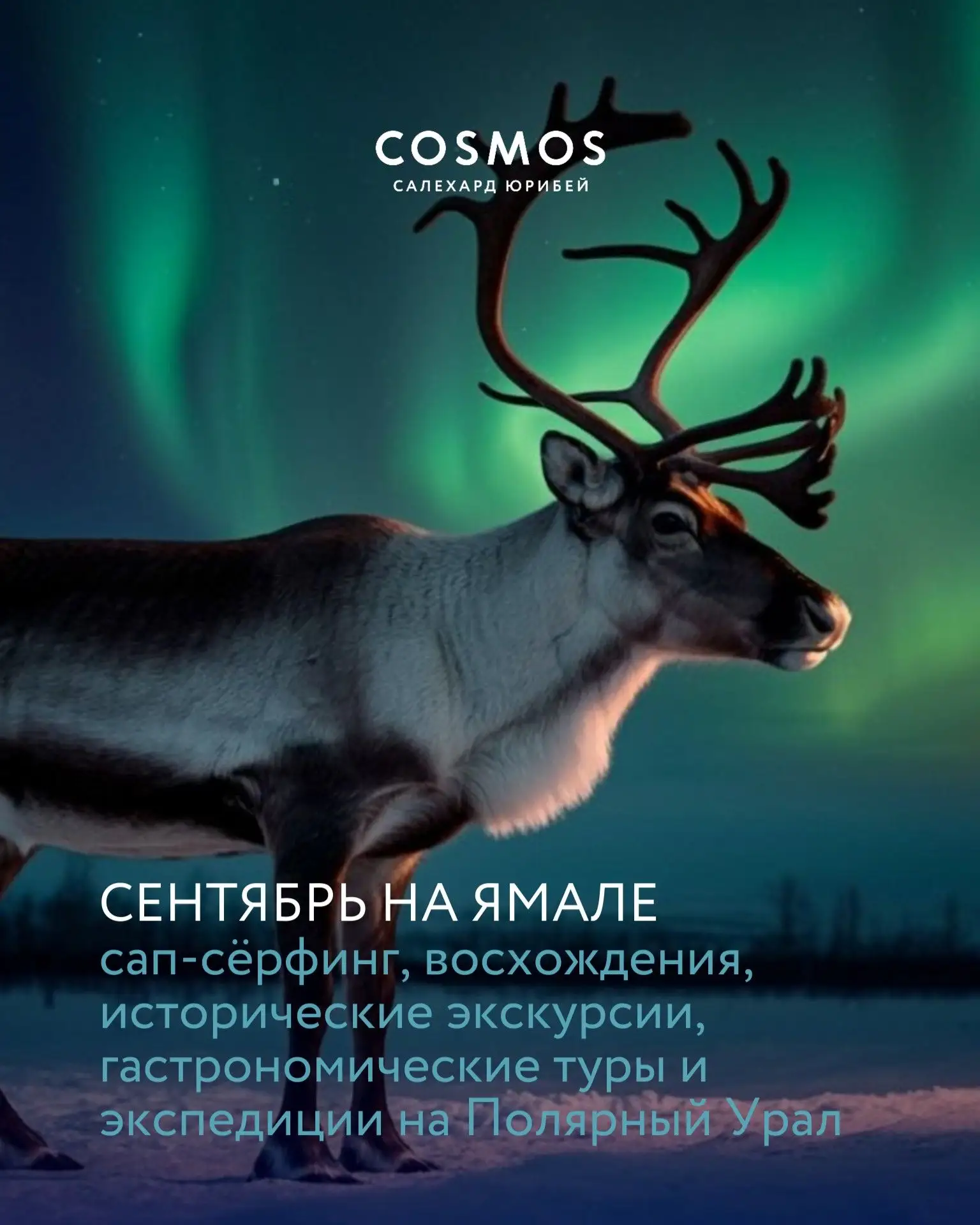 Друзья, сентябрь на Ямале — это золото тундры, хрустальный воздух и природа, которая да...