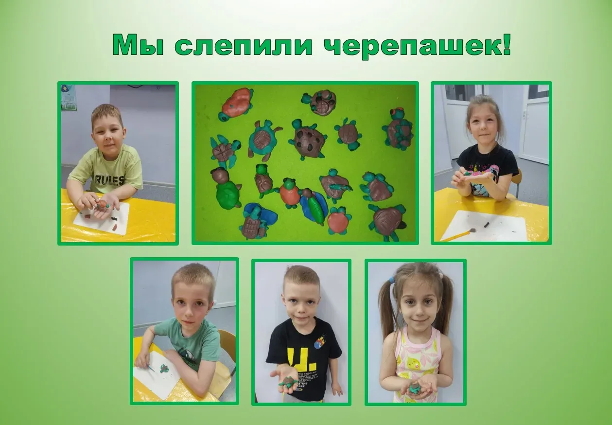 Черепахи — один из древнейших отрядов рептилий, существующих на Земле уже более 220 миллионов лет. И