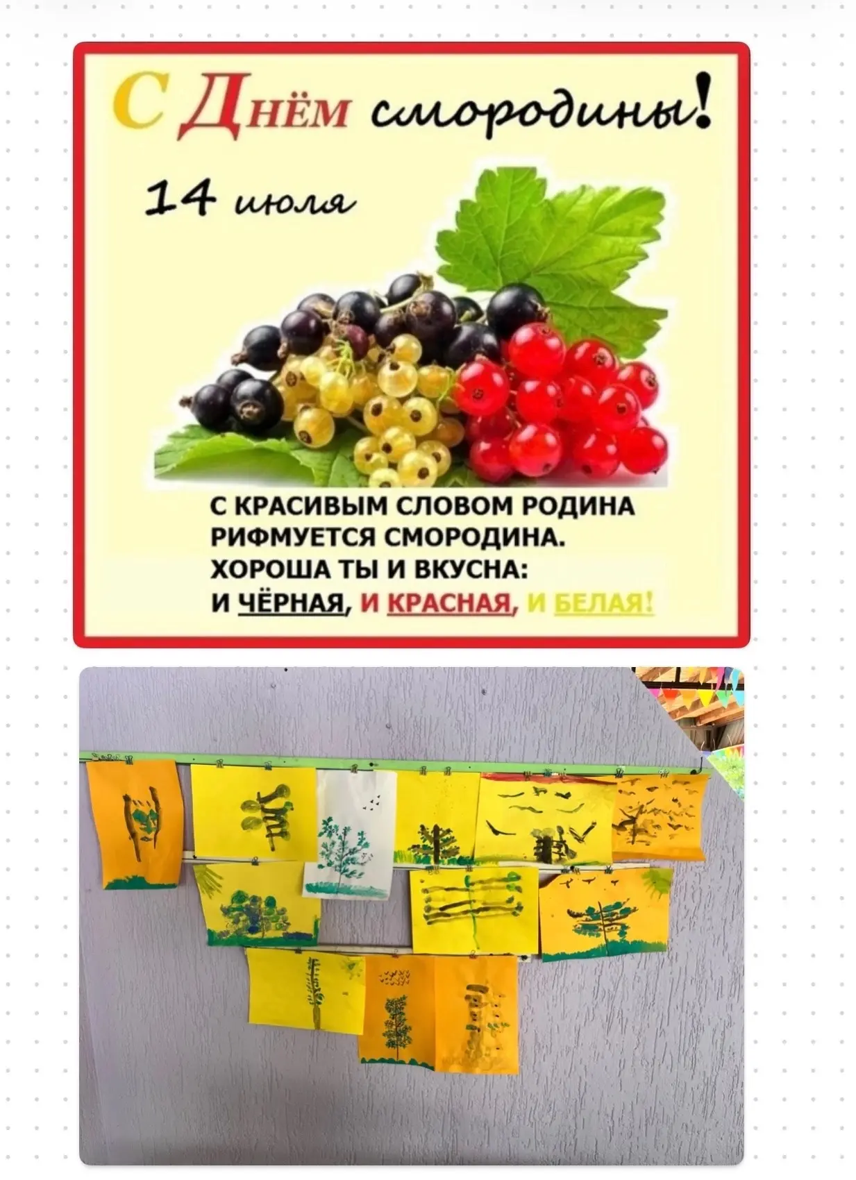 Ребята средней группы узнали много нового о вкусной ягоде "смородине".