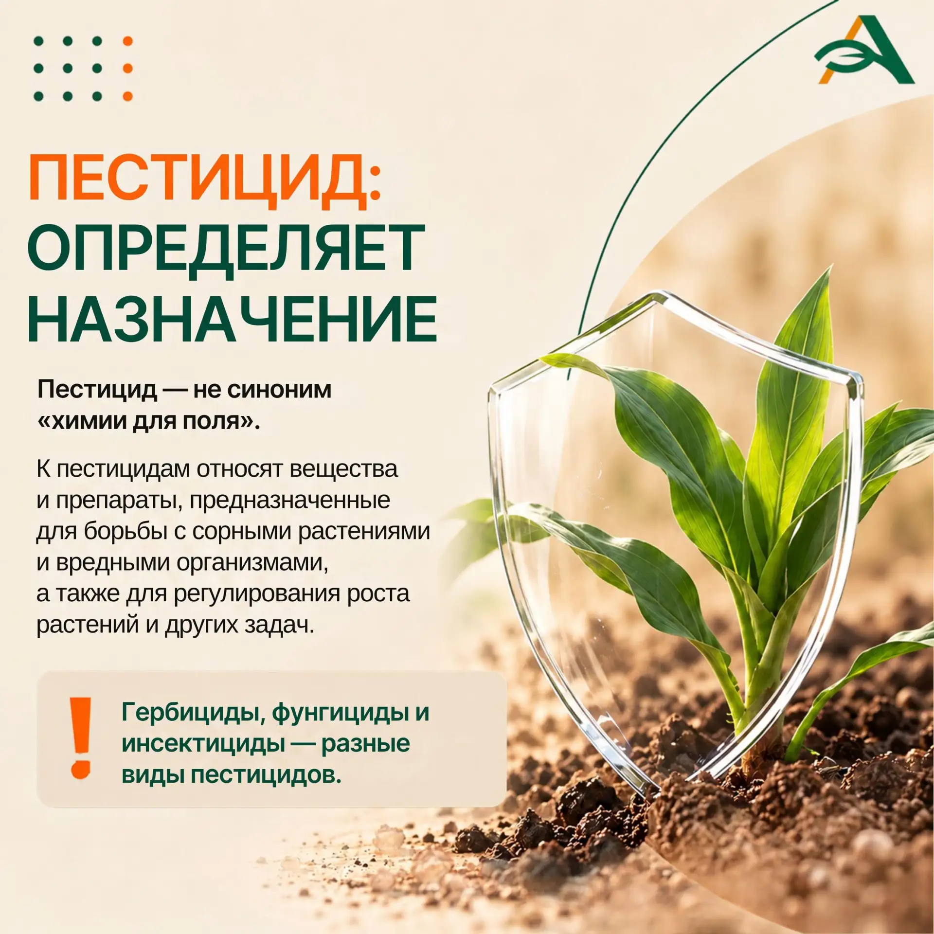 🌱Пестицид, агрохимикат и СЗР: где заканчивается профессиональный жаргон и начинается т...