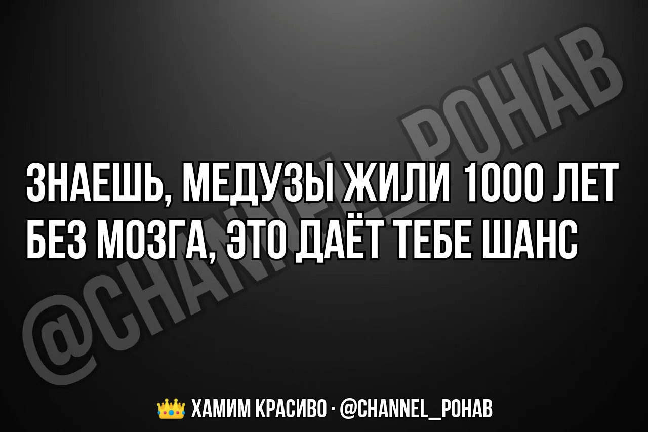 👑 Хамим красиво