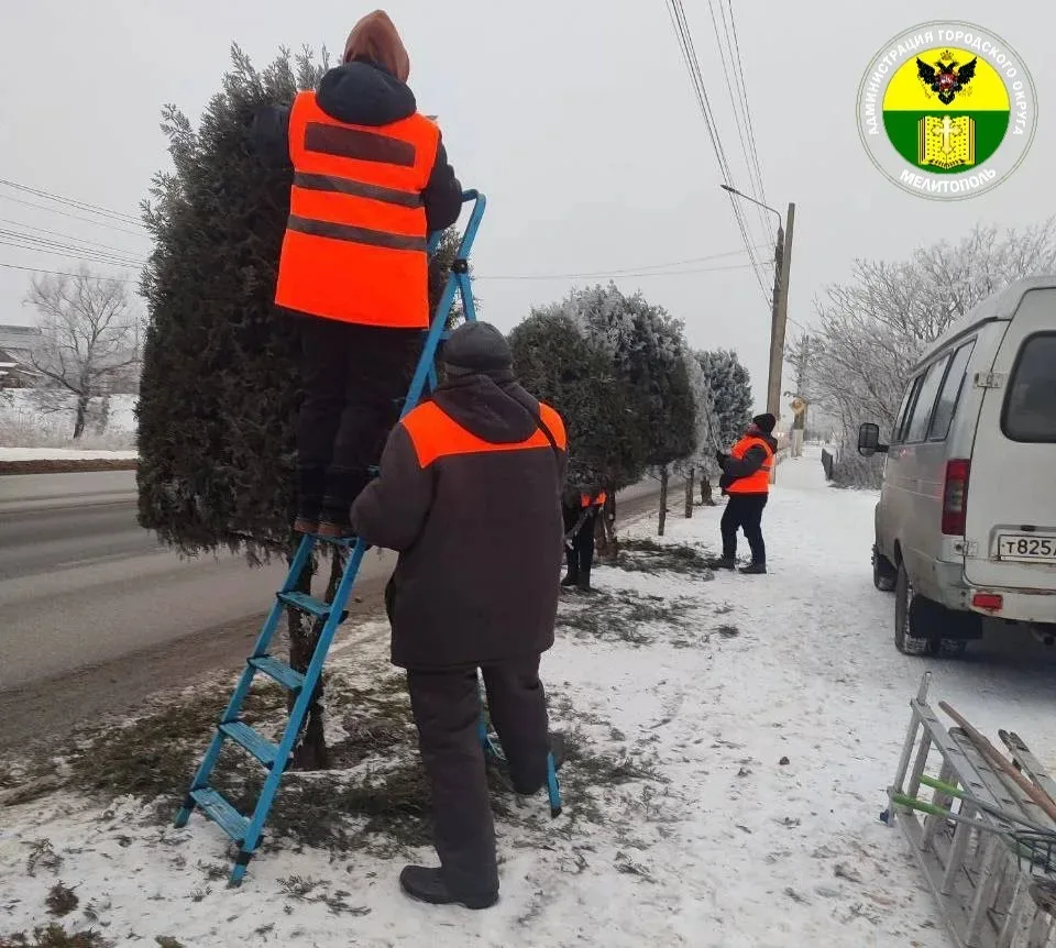 В Мелитополе продолжают обрезку хвойных деревьев на проспекте Богдана Хмельницкого