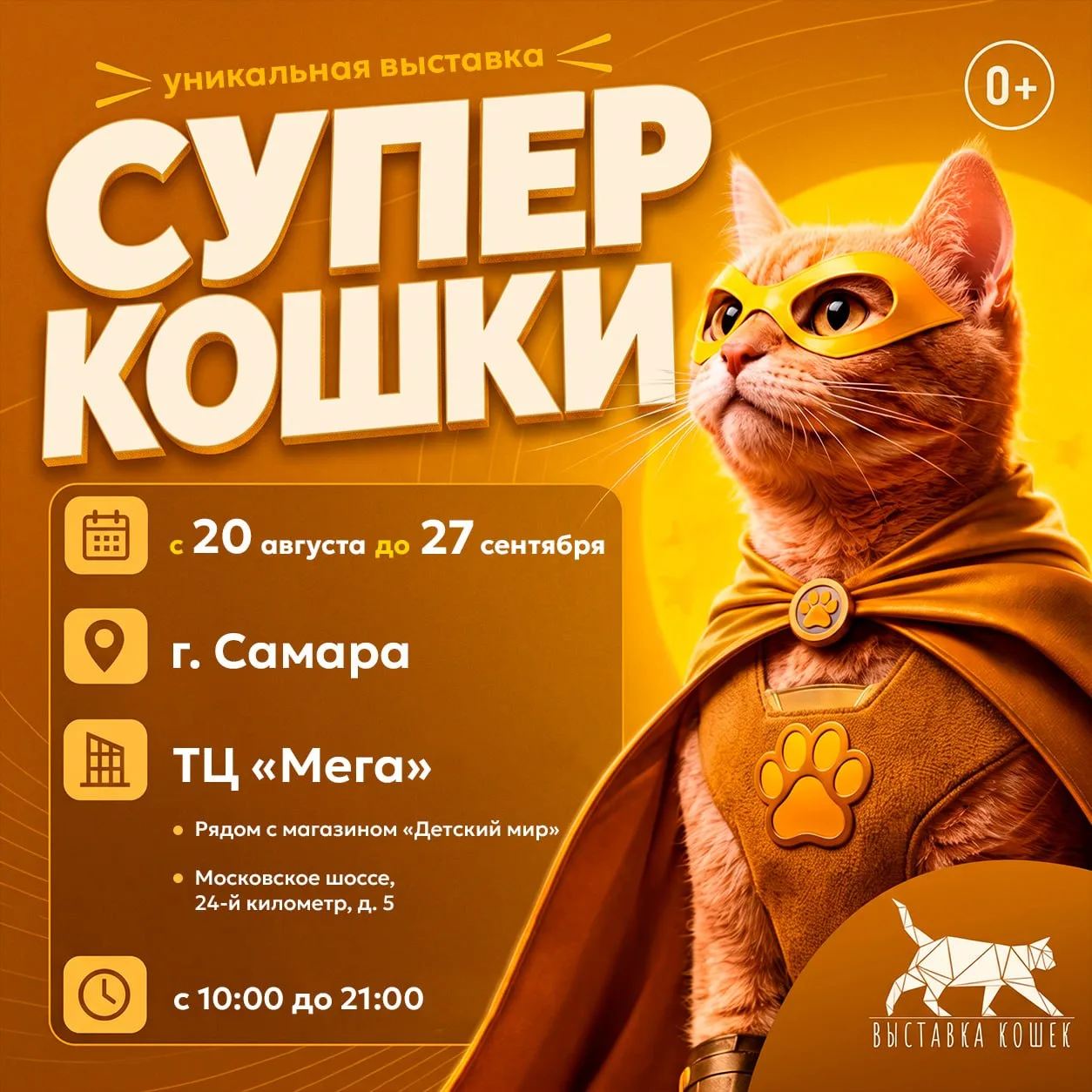 Самара, готовьтесь: «Супер Кошки» уже с 20 августа! 🐈