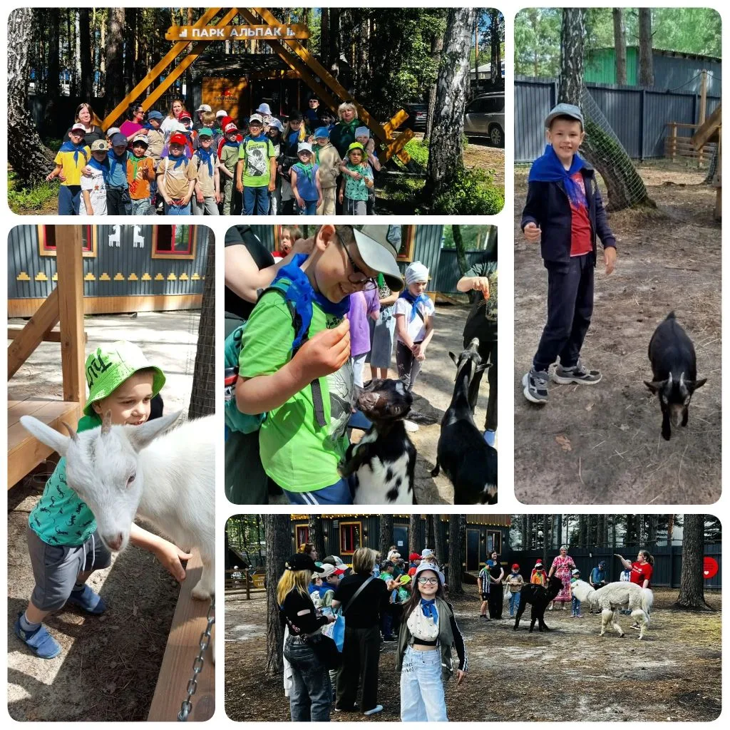 Путешествие в парк альпак🦙

Сегодня наши «Непоседы» отправились в парк «Пача Мама».

Ребята познако