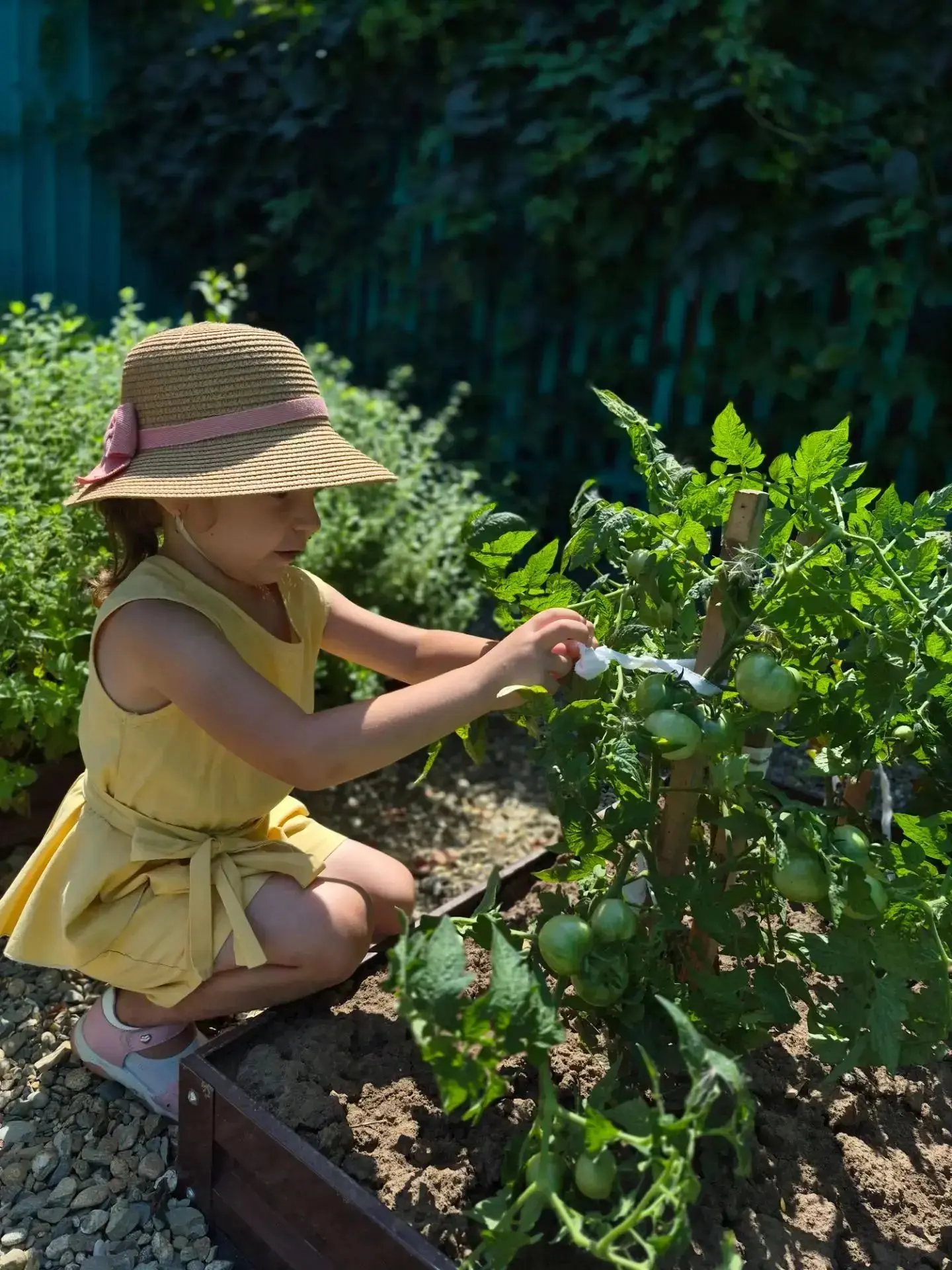 🌱🍅Каждый день на огороде — новое открытие. Сегодня подвязывали томаты и поливали грядки. Дети в во