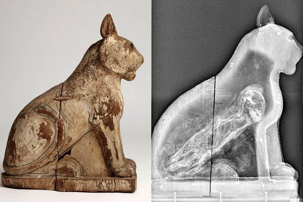 Кошачий саркофаг с мумией внутри. Найден при раскопках в селении Саккара недалеко от Ка...