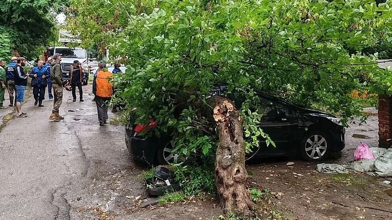 🌳  В Орле на улице Приборостроительной дерево упало на припаркованный автомобиль

Как вам такая пог