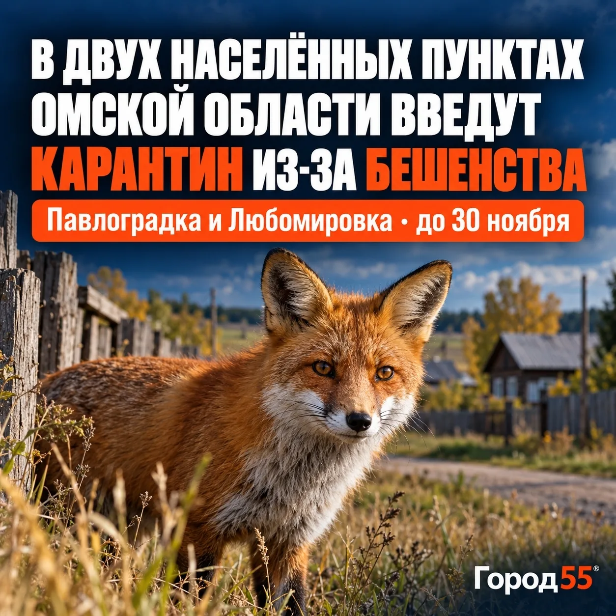 Пытаются сдержать заразу: два населённых пункта Омской области закроют на карантин из-з...