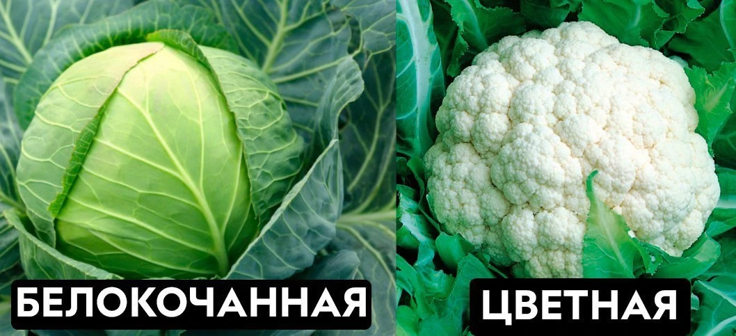 Задумывались об этом?