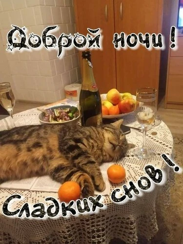 Ночь на город опустилась ,
