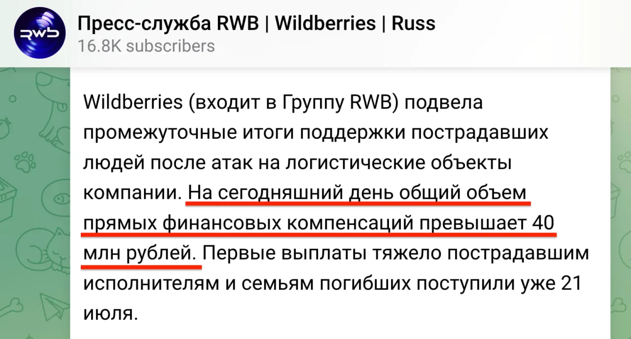 Wildberries выплатили более 40 млн руб. пострадавшим в результате атак на логистические объекты

клу